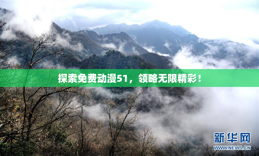 探索免费动漫51，领略无限精彩！