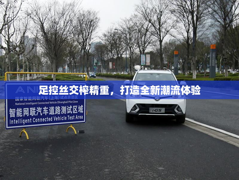 足控丝交榨精重，打造全新潮流体验