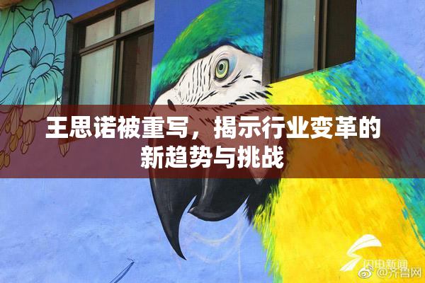 王思诺被重写，揭示行业变革的新趋势与挑战