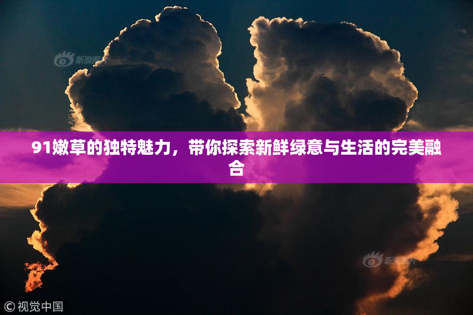 91嫩草的独特魅力，带你探索新鲜绿意与生活的完美融合