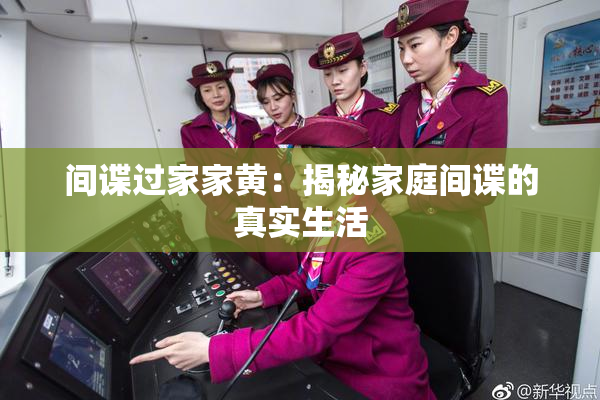 间谍过家家黄：揭秘家庭间谍的真实生活