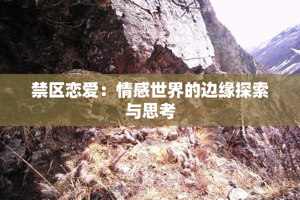 禁区恋爱：情感世界的边缘探索与思考
