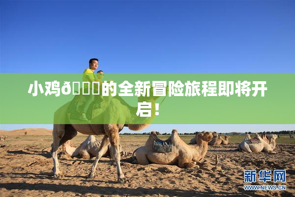 小鸡🐔的全新冒险旅程即将开启！