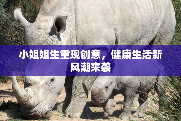 小姐姐生重现创意，健康生活新风潮来袭