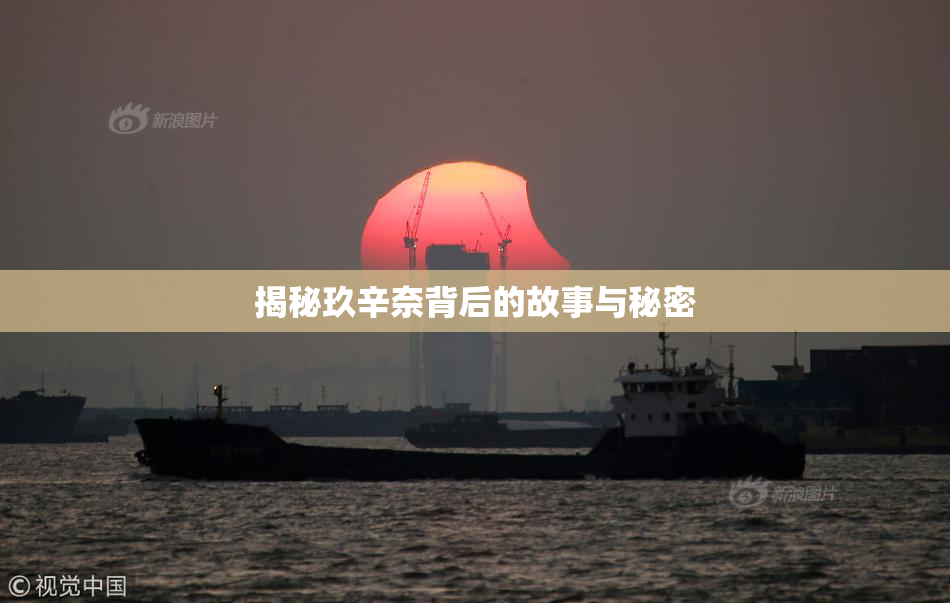揭秘玖辛奈背后的故事与秘密