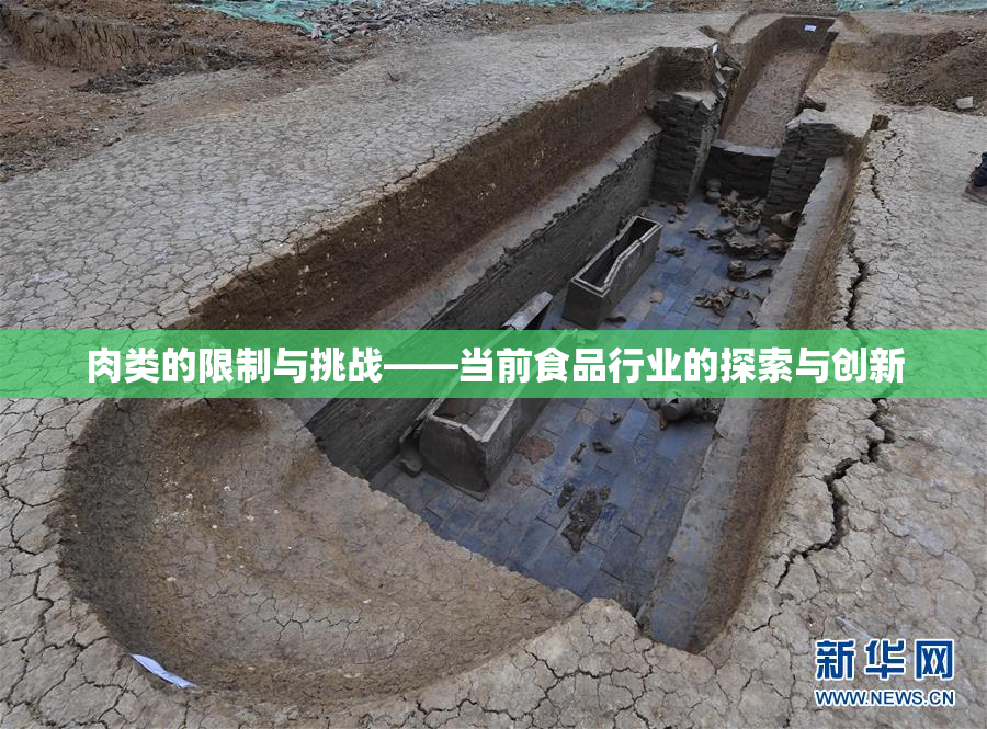 肉类的限制与挑战——当前食品行业的探索与创新