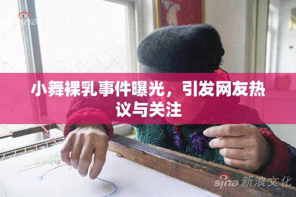 小舞裸乳事件曝光，引发网友热议与关注