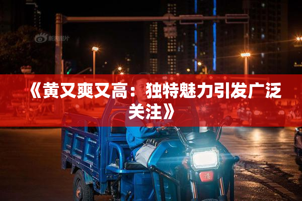 《黄又爽又高：独特魅力引发广泛关注》