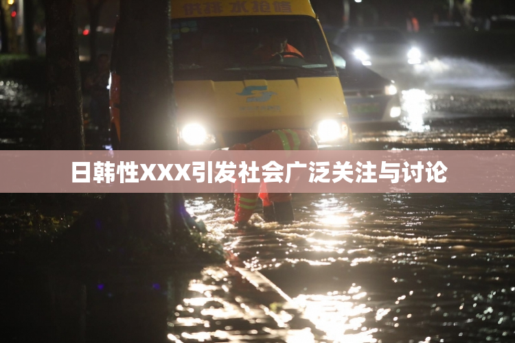 日韩性XXX引发社会广泛关注与讨论