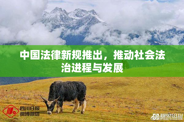 中国法律新规推出，推动社会法治进程与发展