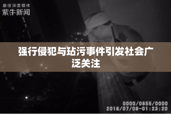 强行侵犯与玷污事件引发社会广泛关注