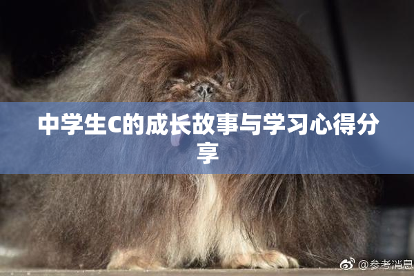 中学生C的成长故事与学习心得分享