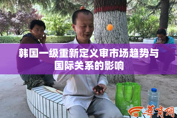 韩国一级重新定义审市场趋势与国际关系的影响