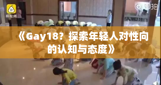 《Gay18？探索年轻人对性向的认知与态度》