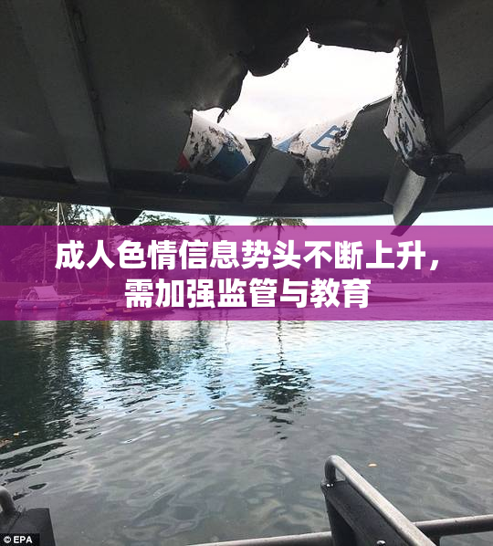 成人色情信息势头不断上升，需加强监管与教育