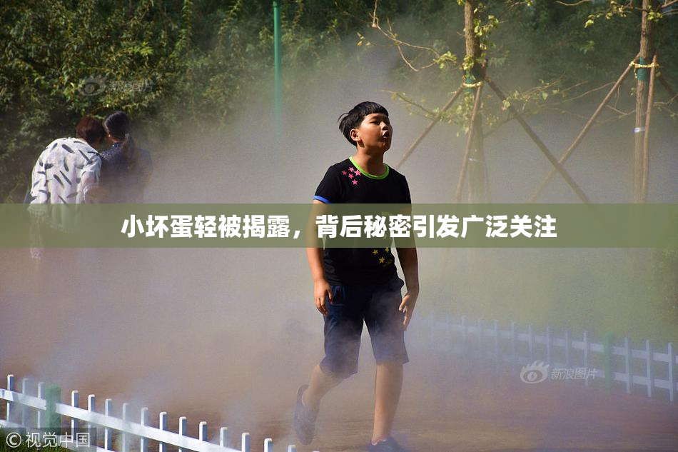 小坏蛋轻被揭露，背后秘密引发广泛关注