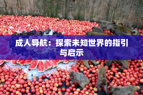 成人导航：探索未知世界的指引与启示