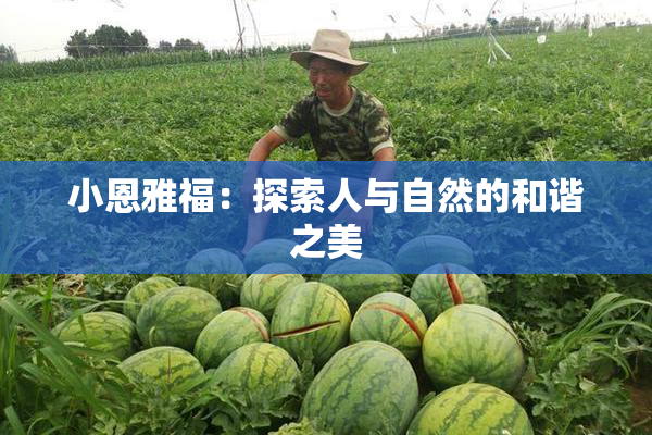 小恩雅福：探索人与自然的和谐之美