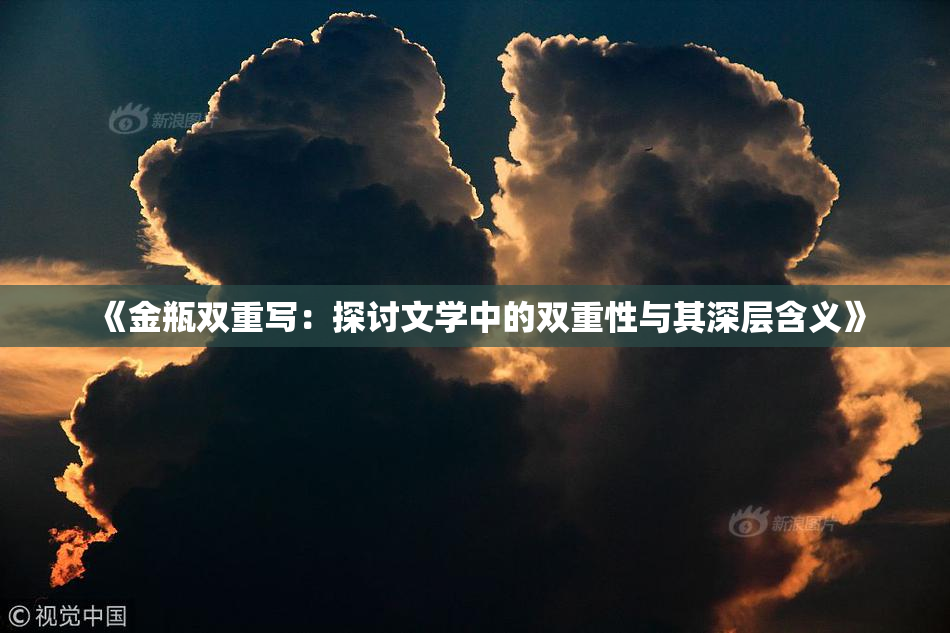 《金瓶双重写：探讨文学中的双重性与其深层含义》