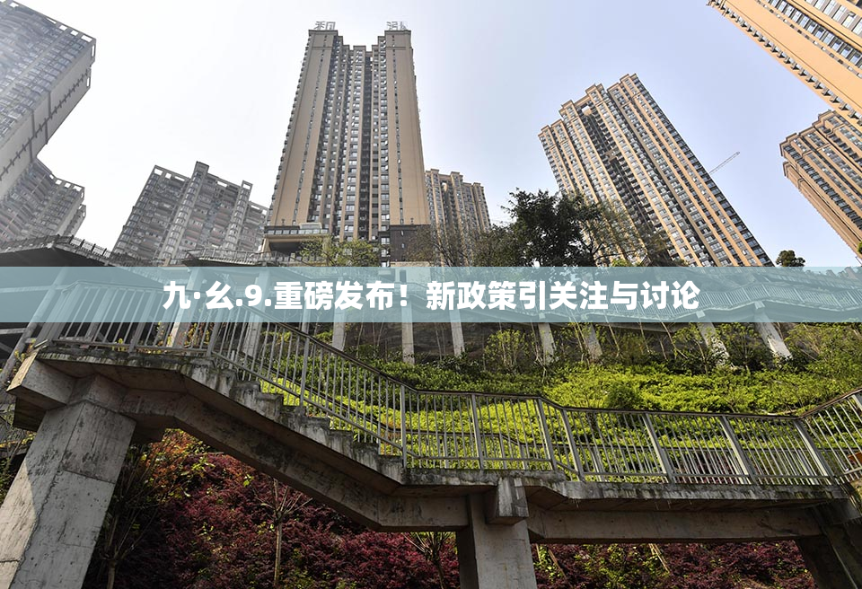 九·幺.9.重磅发布！新政策引关注与讨论