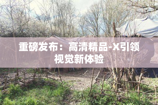 重磅发布：高清精品-X引领视觉新体验