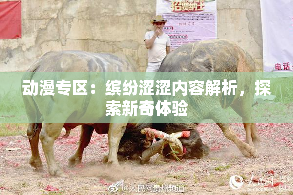 动漫专区：缤纷涩涩内容解析，探索新奇体验