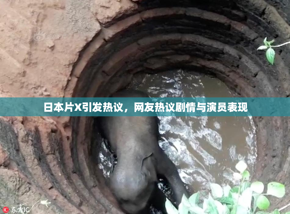 日本片X引发热议，网友热议剧情与演员表现
