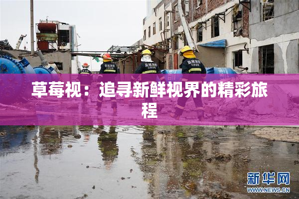 草莓视：追寻新鲜视界的精彩旅程