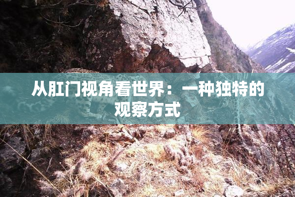 从肛门视角看世界：一种独特的观察方式