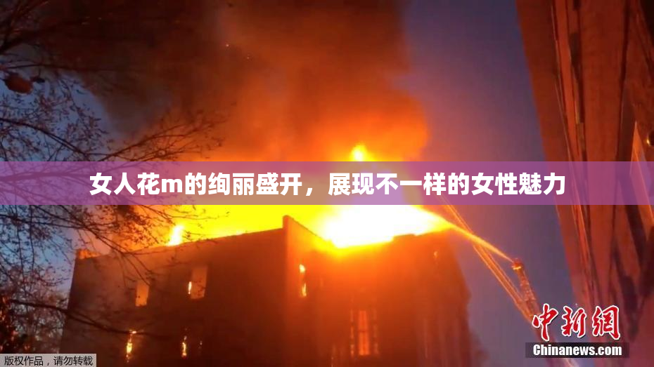 女人花m的绚丽盛开，展现不一样的女性魅力
