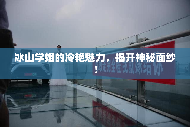 冰山学姐的冷艳魅力，揭开神秘面纱！