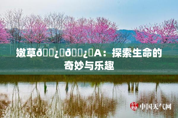 嫩草🌿‌🌿‌A：探索生命的奇妙与乐趣