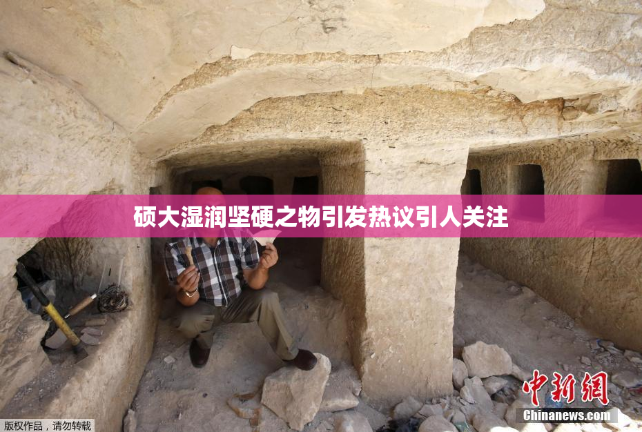 硕大湿润坚硬之物引发热议引人关注