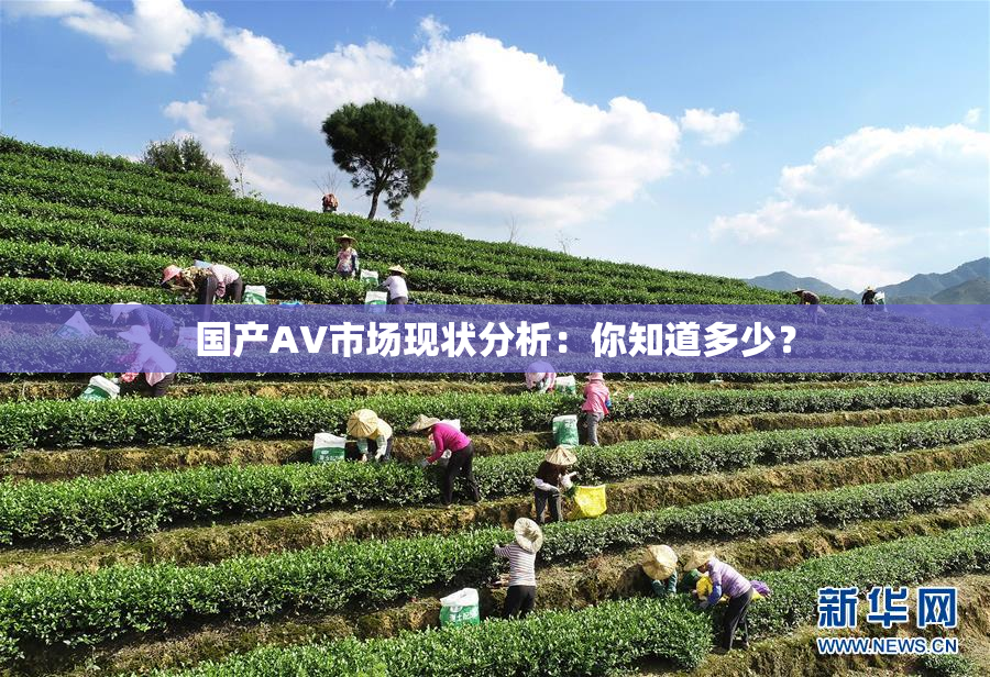 国产AV市场现状分析：你知道多少？
