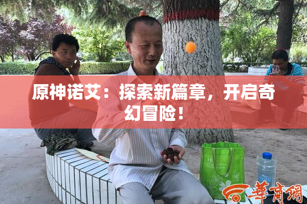 原神诺艾：探索新篇章，开启奇幻冒险！