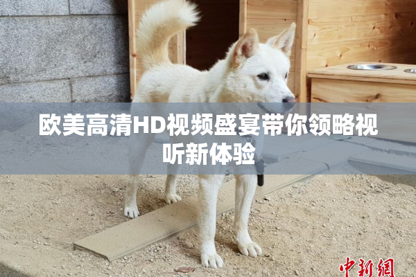 欧美高清HD视频盛宴带你领略视听新体验