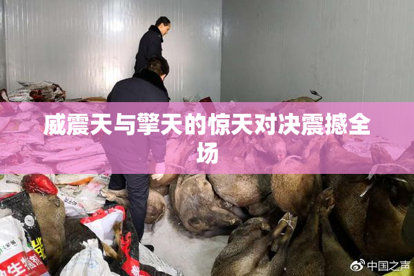 威震天与擎天的惊天对决震撼全场