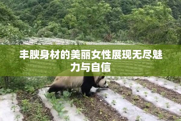 丰腴身材的美丽女性展现无尽魅力与自信