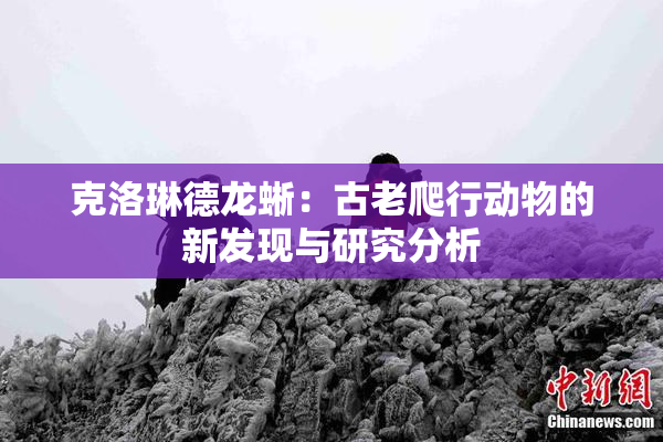 克洛琳德龙蜥：古老爬行动物的新发现与研究分析