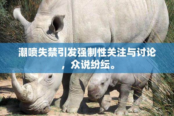 潮喷失禁引发强制性关注与讨论，众说纷纭。