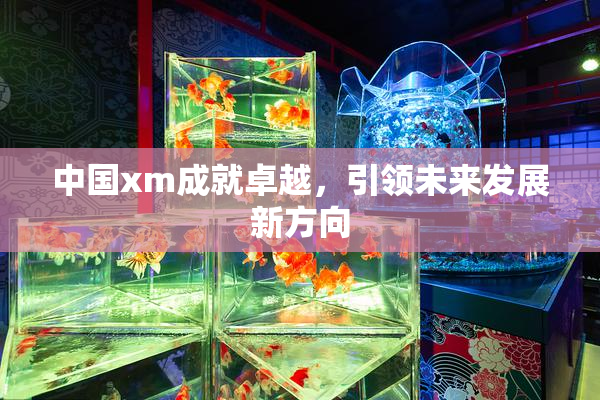 中国xm成就卓越，引领未来发展新方向