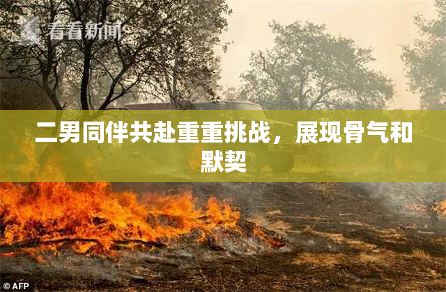 二男同伴共赴重重挑战，展现骨气和默契