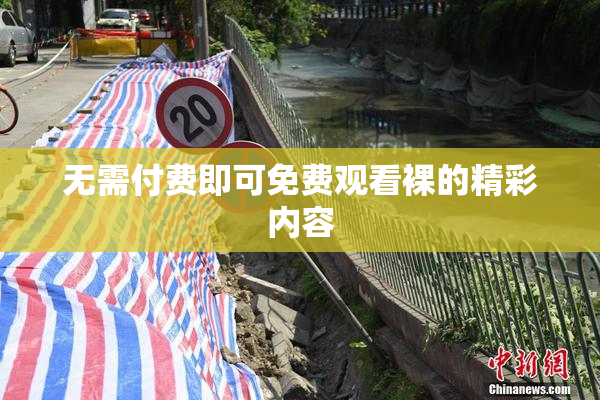 无需付费即可免费观看裸的精彩内容