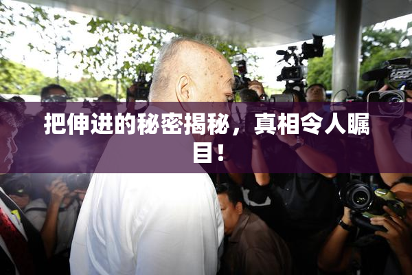 把伸进的秘密揭秘，真相令人瞩目！