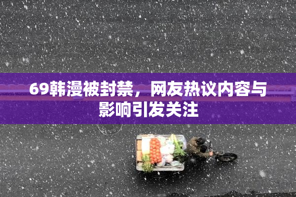 69韩漫被封禁，网友热议内容与影响引发关注