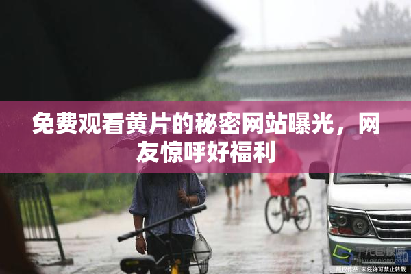 免费观看黄片的秘密网站曝光，网友惊呼好福利