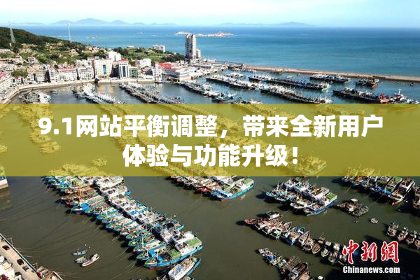 9.1网站平衡调整，带来全新用户体验与功能升级！
