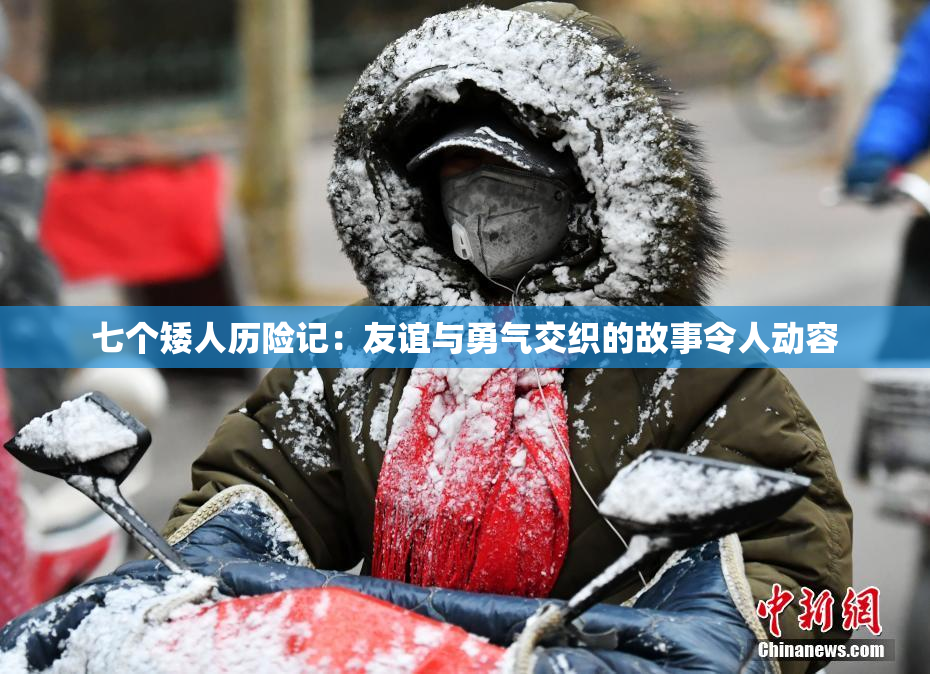 七个矮人历险记：友谊与勇气交织的故事令人动容