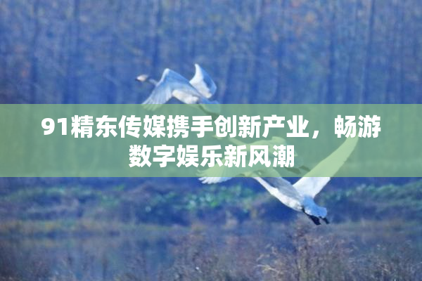 91精东传媒携手创新产业，畅游数字娱乐新风潮