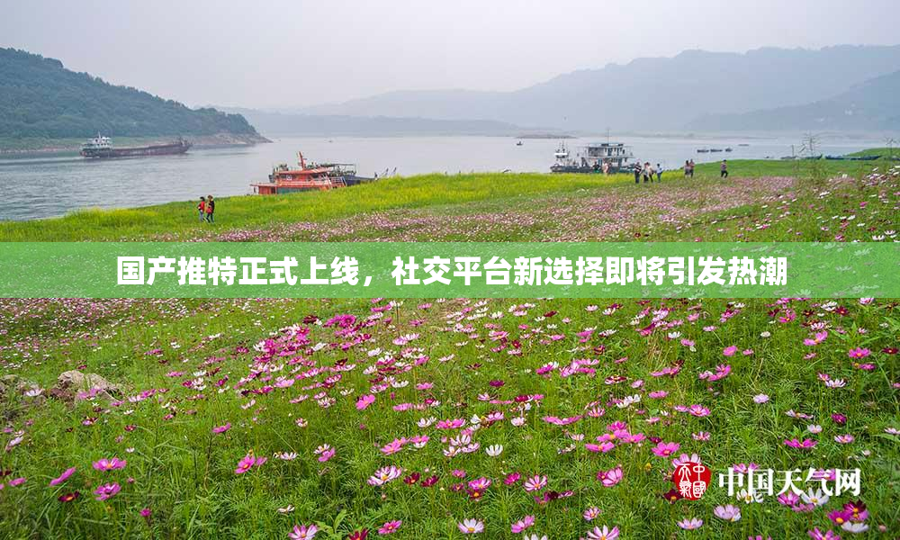 国产推特正式上线，社交平台新选择即将引发热潮